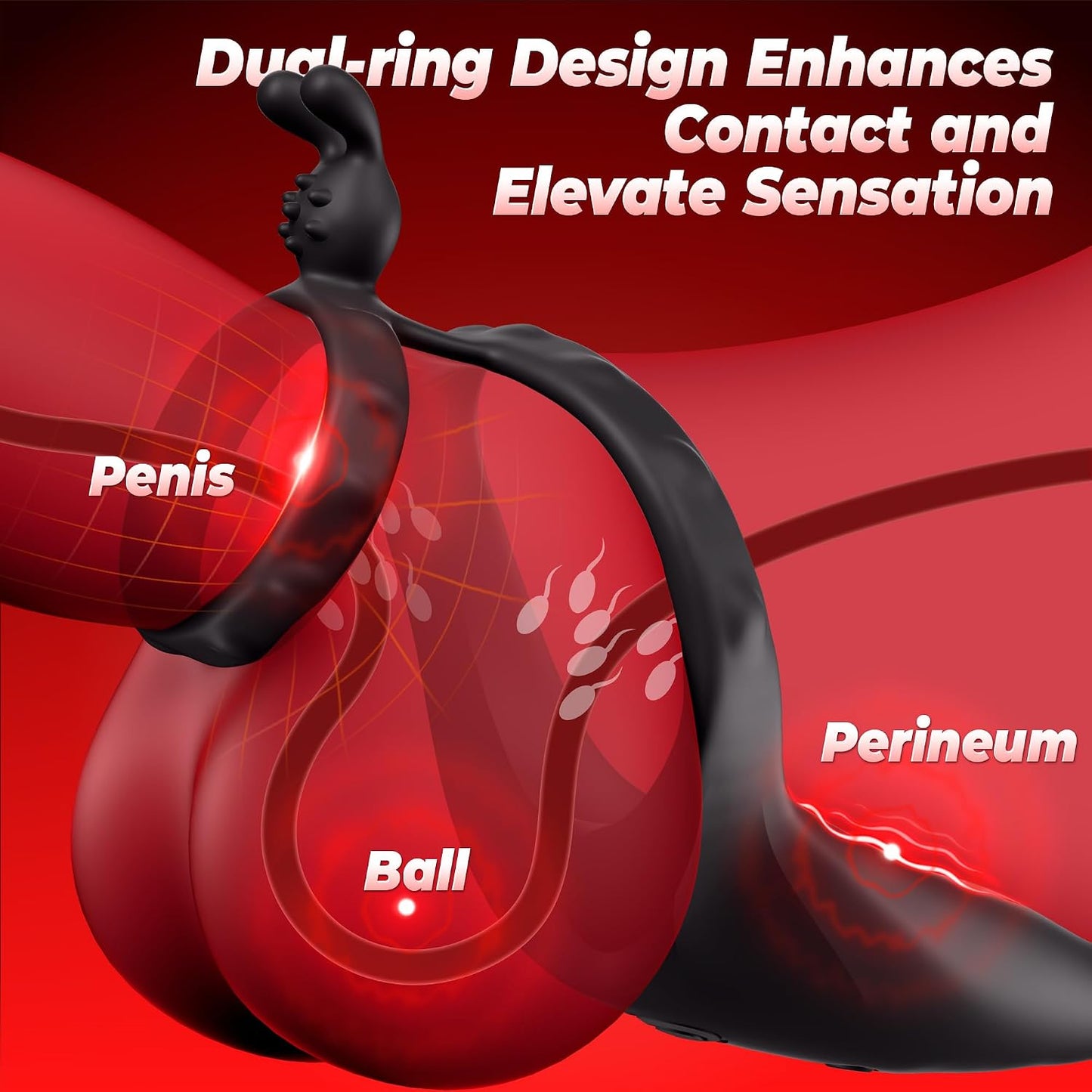 4 IN 1 Prostatamassagegerät Analvibrator Penisring Taint-Stimulator mit 9 Vibrationsmodi