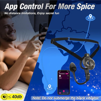 App-gesteuerter Keuschheitskäfig Schwarzem Riemen Penistrainer mit Ringe in 6 Größen